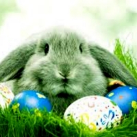Green Easter Bunny