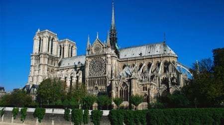 Notre-Dame de Paris - building, notre-dame de paris, cathedral, religious