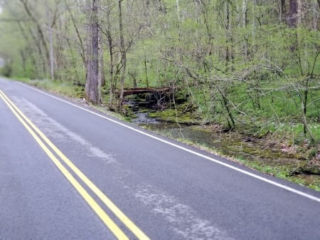 Blueside - Tennessee, Nature, Forests, Rural