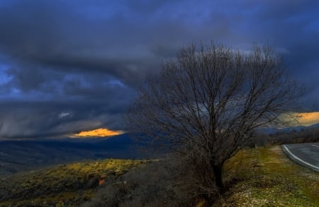 Thick Clouds - cloud, tree, nature, thick