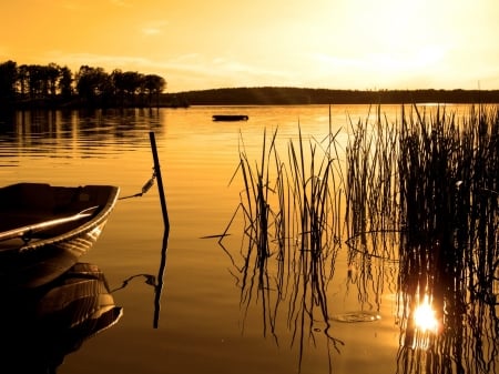 Lake boat - Forest, Boat, Lake, Nature