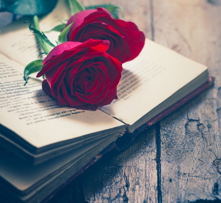 ♥ - abstract, roses, books, red