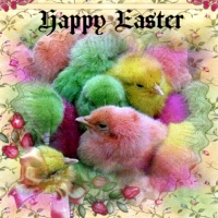 Colorful Easter Chicks