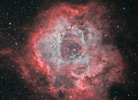 A Cosmic Rose The Rosette Nebula in Monoceros - space, fun, planets, galaxies, stars, cool