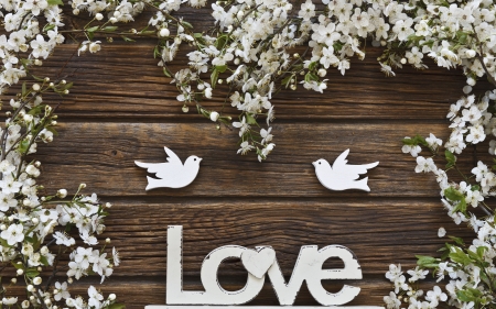 Happy Valentine's Day! - word, love, whire, easter, valentine, spring, bird, wood, white, brown, pasari, card, blossom, flower