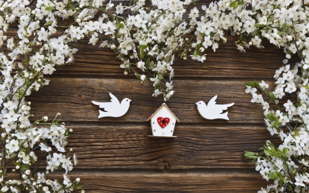 Happy Valentine's Day! - flower, bird, spring, blossom, birdhouse, wood, white, brown, valentine, heart