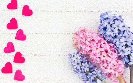 Happy Valentine's Day! - white, heart, blue, valentine, hyacinth, spring, flower, pink