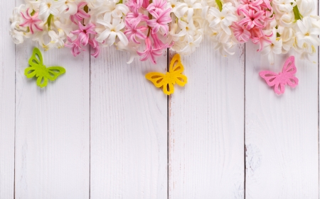 Happy Spring! - white, butterfly, yellow, pink, card, green, spring, hyacinth