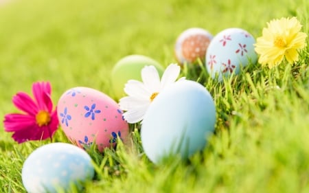 Happy Easter! - easter, green, grass, egg, pasti, pink