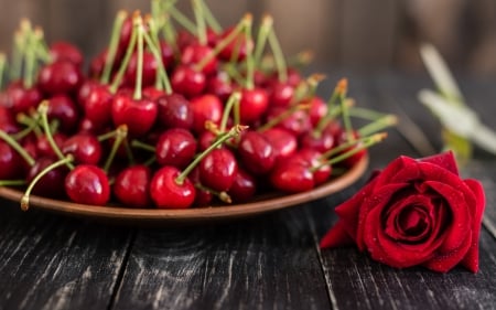 :-) - cirese, red, summer, rose, fruit, trandafir, cherry, vara