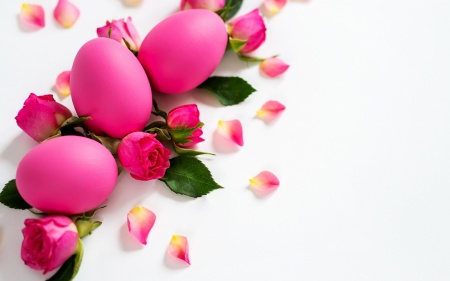 Happy Easter! - easter, card, flower, pasti, rose, pink, petals, egg