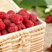 Raspberries