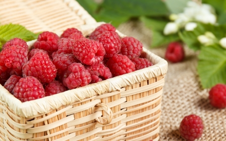 Raspberries - basket, summer, red, radpberry, fruit, vara