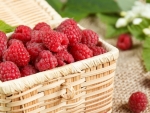 Raspberries