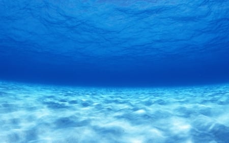 Underwater - ocean, vara, blue, water, summer, sea