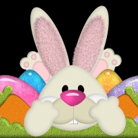 Easter Bunys Face