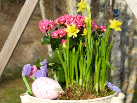 Happy Easter ! - pot, flowers, easter, spring, colors, egg