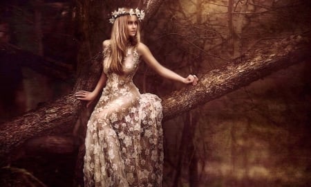 Woman Sitting on a Limb - woman, feminine, sensual, delicate, gown, browns, enchanting, lace, tree, blonde