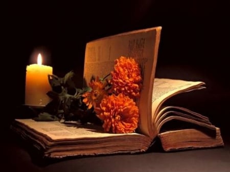 Still life - candle, candles, memories, flowers, book