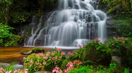 Exotic forest waterfall - cascades, forest, beautiful, waterfall, wildflowers, exotic