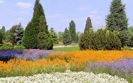 Blooming Park - summer, blossoms, trees, colors