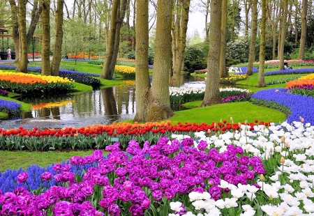 Keukenhof Gardens, Netherlands - flowers, river, tulips, trees, blossoms, spring