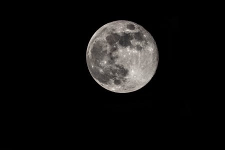 Full Moon April 2029 - Full moon, April, 2019, Night