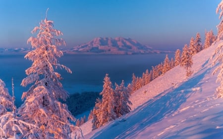 Winter Mountains - Trees, Lake, Dawn, Shadow