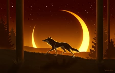 Coming home - moon, yellow, wolf, silhouette, night, orange, lup, fantasy, luminos, luna