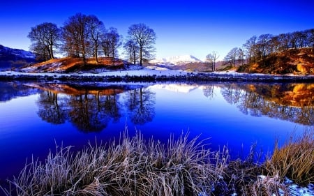 Winter Lake - Trees, Winter, Water, Lake