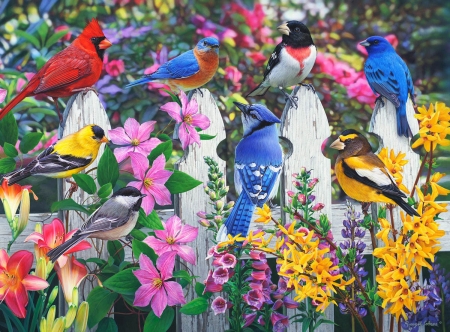 Birds on a Fence - cardinal, blue, bluebirs, robin, flowers, jay