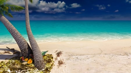 Tropical Beach - beach, ocean, tropical, tree, palm