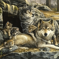 Wolves