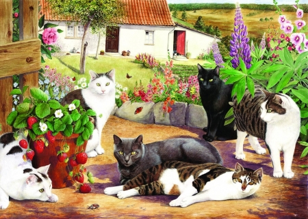 Cats - painting, art, cat, pisici, pictura, garden, flower, country