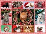 Christmas collage