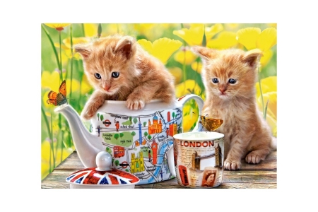 Kittens - kitten, paw, cute, pisici, cup, cat