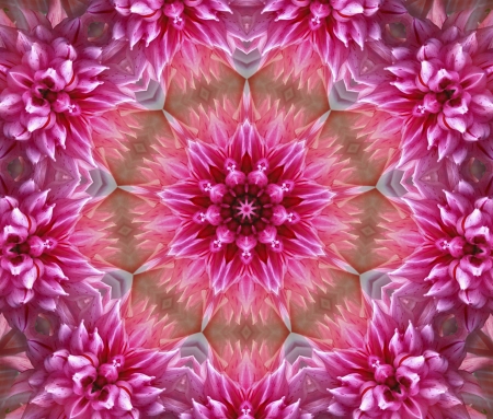 Abstract - abstract, mandala, texture, pink