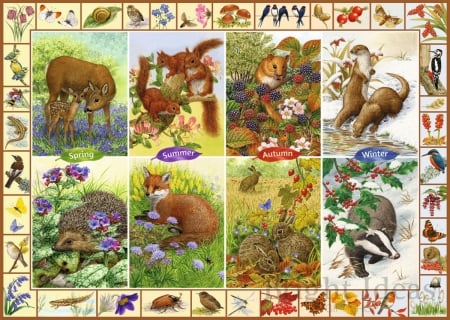 Seasonal wildlife animals - collage, animal, wildlife, seasonal