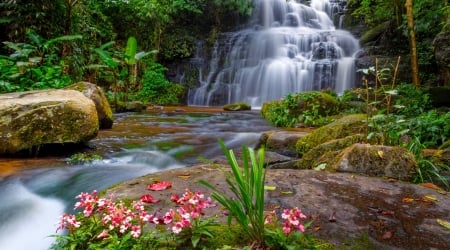 Forest fall - trees, cascades, greenery, summer, waterfall, rocks, forest, beautiful, flowers