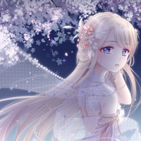 Miracle Nikki