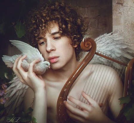 Cupid with dove and lyre - maksim larionov, bird, cupid, dove, man, pasari, lyre, fantasy, white, wings, ange, curls