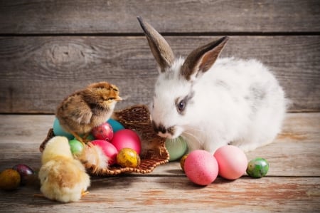 Happy Easter! - bird, rabbit, pink, bunny, easter, pasari, animal, chicks, egg, card