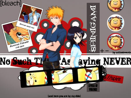 Bleach - rukia, bleach, kurosaki, kon, ichigo, kuchiki