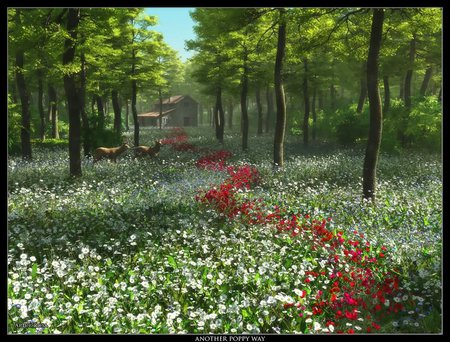 Another poppy way - forest, animals, deers, flowers, house, grass