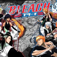 Bleach Group