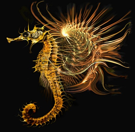 Electric Seahorse - warm, awesome, nice, beauty, lovely, fascinating