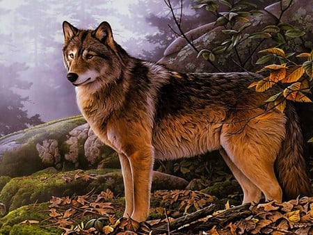 LONELY WOLF - alone, animal, forest, wolf