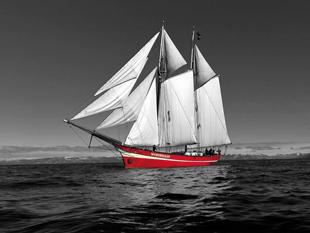 SAILING SHIP - white, red highlights, manipulation, image, processing, digital, photo, black