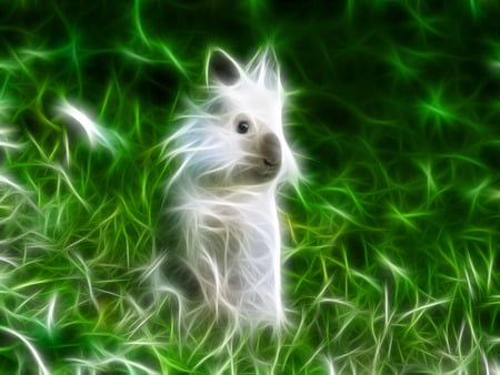 Coniglietto - abstract, rabbit, animal, beautiful, fractalius, little, 3d