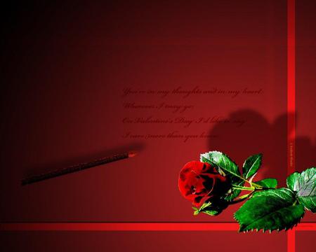 Lost Valentine - red, rose, flowers, pen, love, letter, pain, sorrow, passion